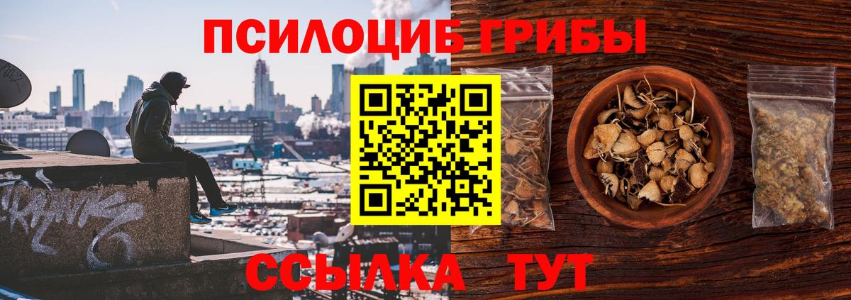 Галлюциногенные грибы Magic Shrooms  Вход с VPN  Тавда 