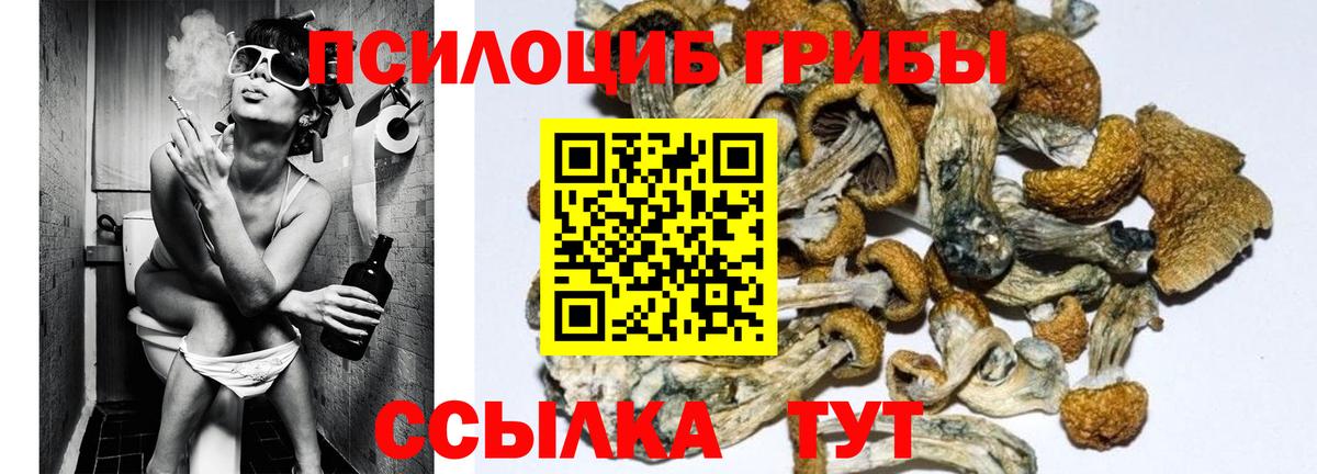 Галлюциногенные грибы мухоморы Тавда